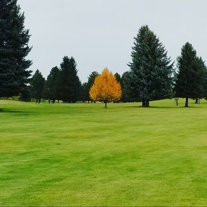 Meet your Posher, Spencer